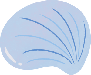 Stylized Watercolor Shell