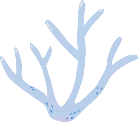 Stylized Watercolor Coral